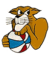 Alternate Carolina Cougars ABA basketball team logo from 1973-74